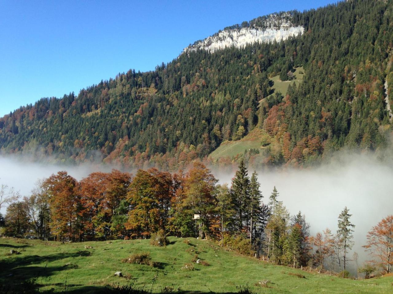 Swiss Seeblick Apartment Mit Hotelanbindung Beatenberg Esterno foto